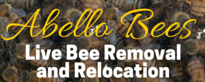 Abell Bees Live Bee Removal