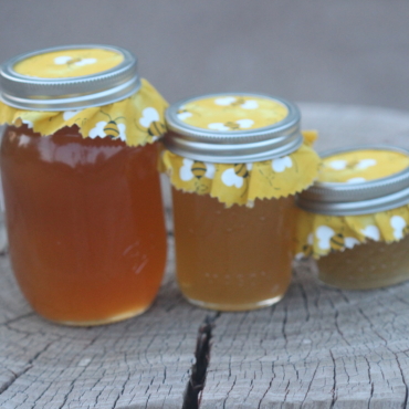 Abello Bees raw unfiltered honey